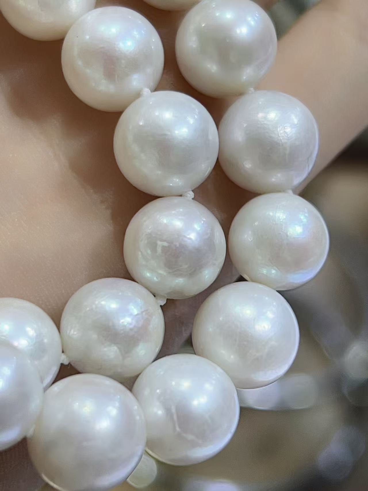 Shell Pearl 2
